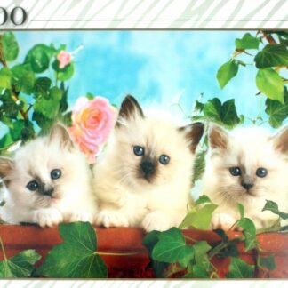 Пазлы Степ 2000 деталей Котята с розой 84018